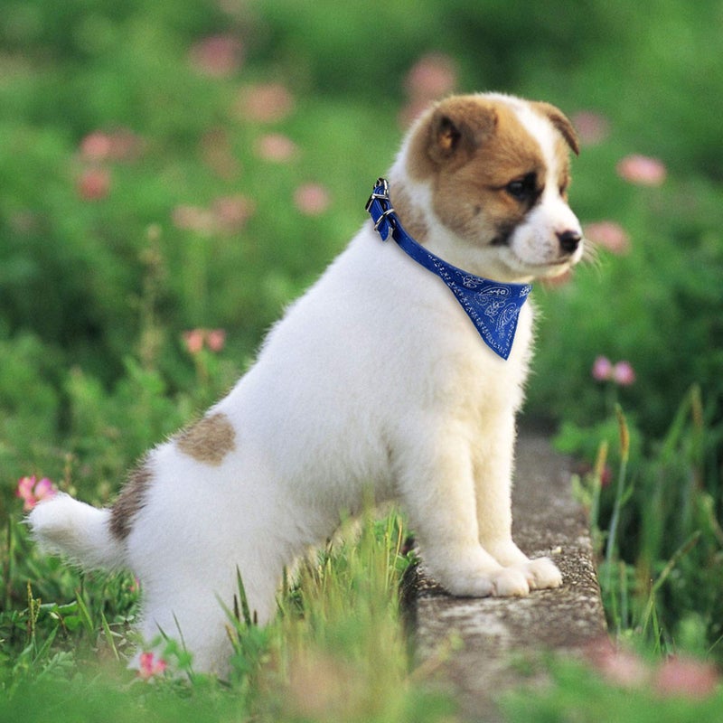 CM Cosmos Pet Bandana Puppy Dog Scarf Collar Neckchief with Adjustable Buckle for Dog Cat Decoration Pack of 6 (Small) - Image 5